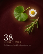 Oil — 38 ingredients
